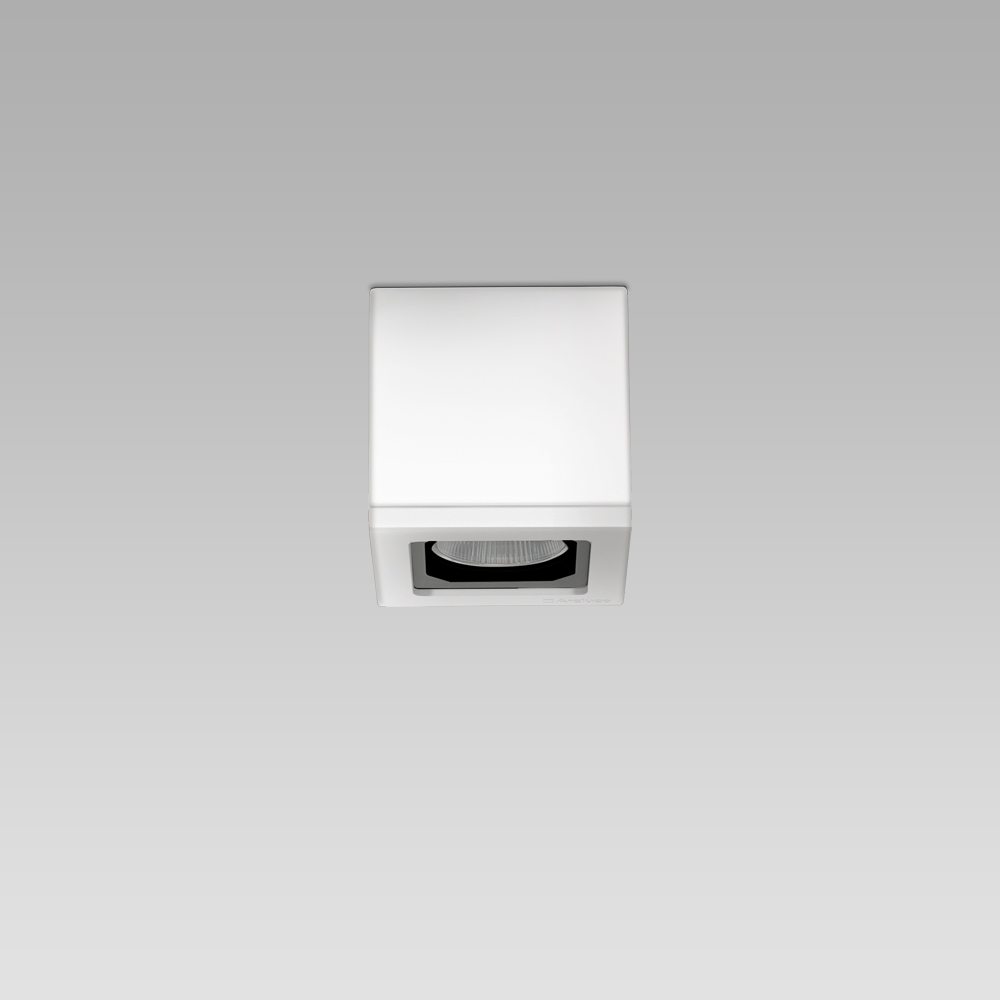 Ceiling fittings Ceiling mounted luminaire with an essential and elegant design for architectural lighting