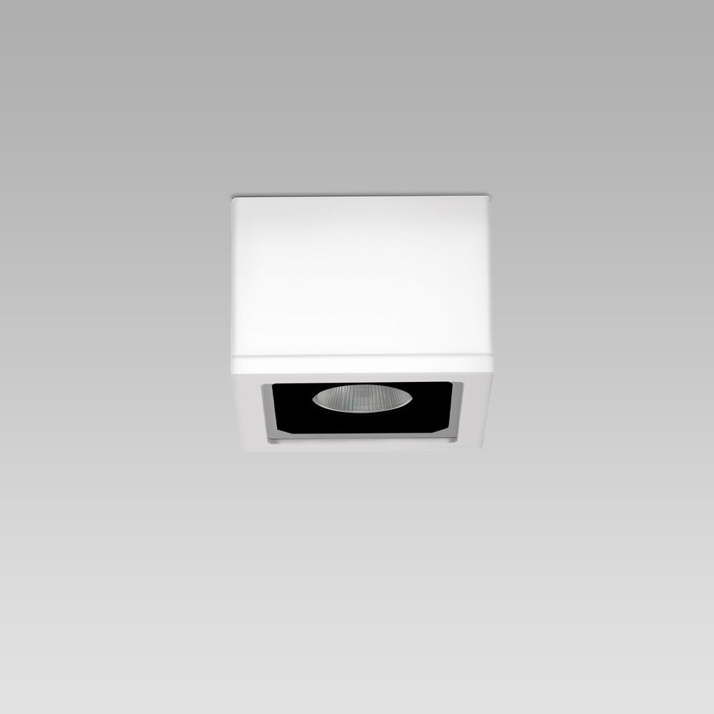 Ceiling fittings  Ceiling mounted luminaire with an essential and elegant design for architectural lighting