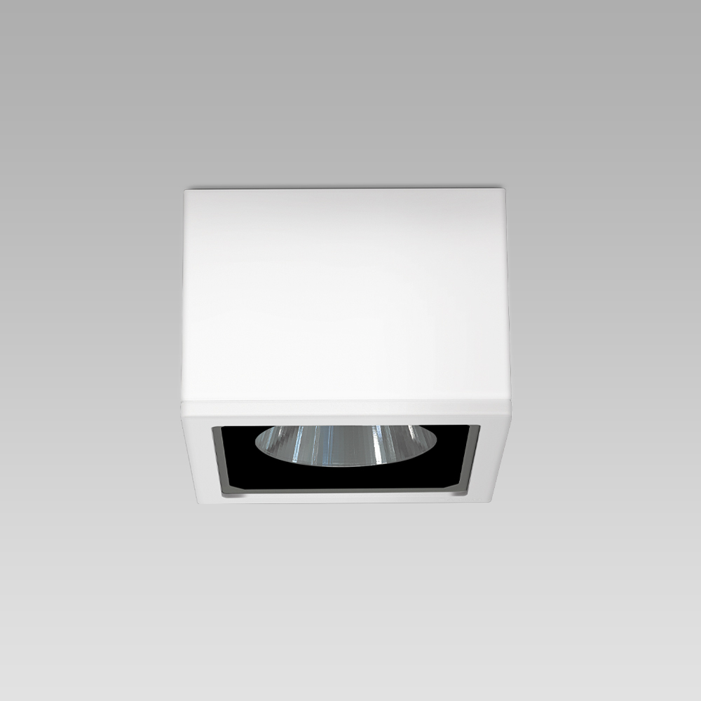 Ceiling fittings  Ceiling mounted luminaire with an essential and elegant design for architectural lighting
