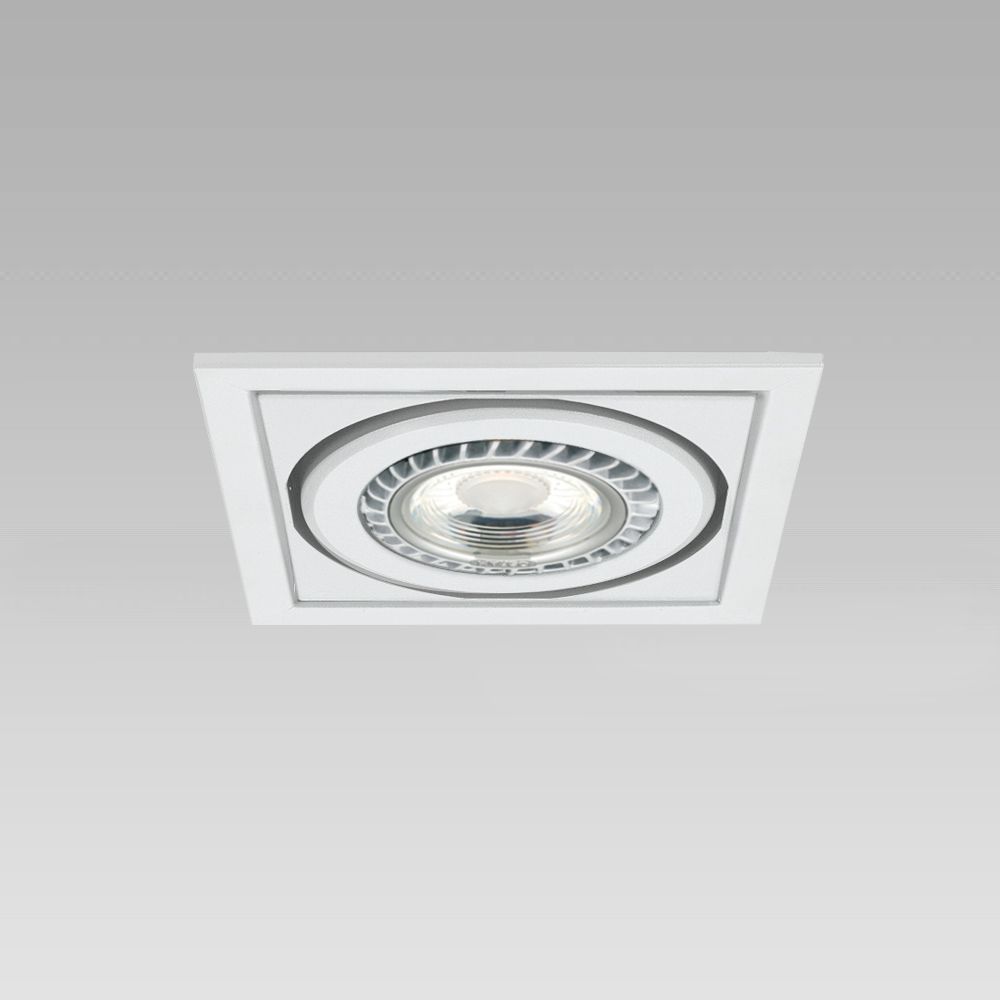 Ceiling recessed downlight for functional lighting of interiors, with adjustable spotlights - 1 spot version