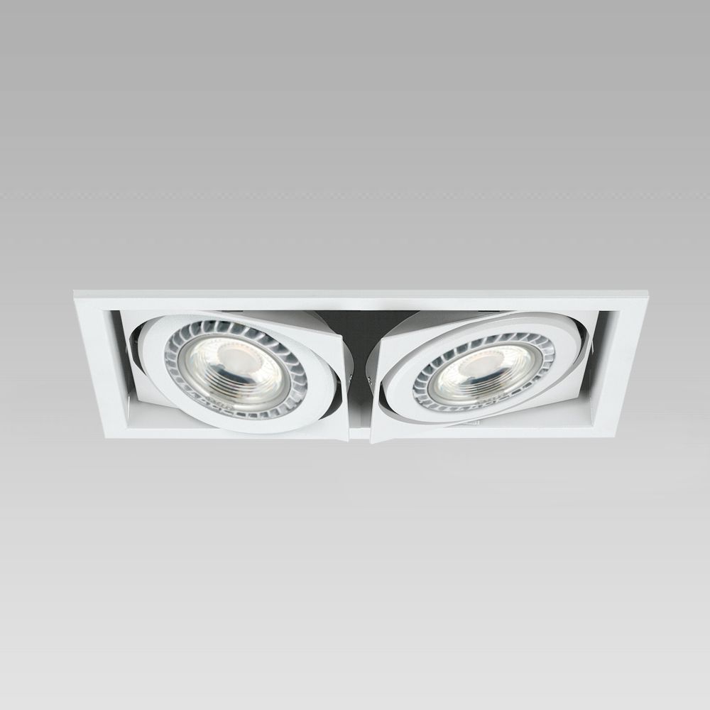 Ceiling recessed downlight for functional lighting of interiors, with adjustable spotlights - 2 spots version